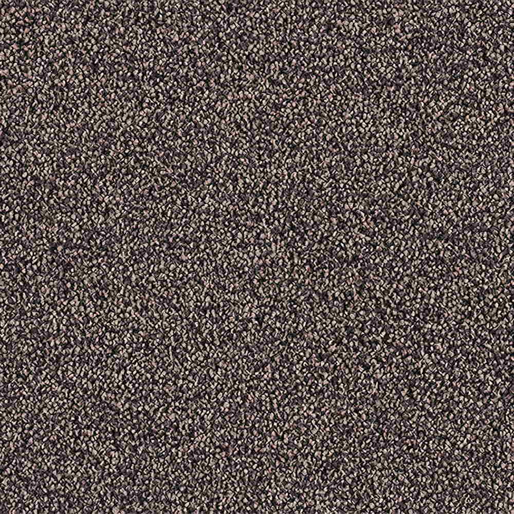 CFS Scala Twist Carpet | TradeChoice Carpet & Flooring