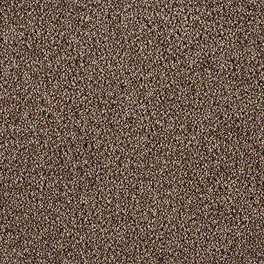 CFS Scala Twist Carpet | TradeChoice Carpet & Flooring