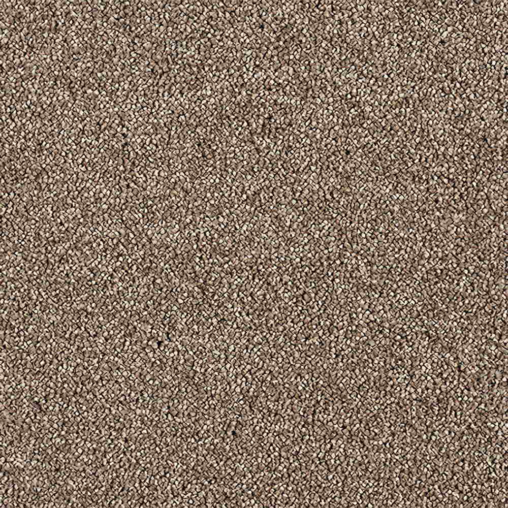 CFS Scala Twist Carpet | TradeChoice Carpet & Flooring