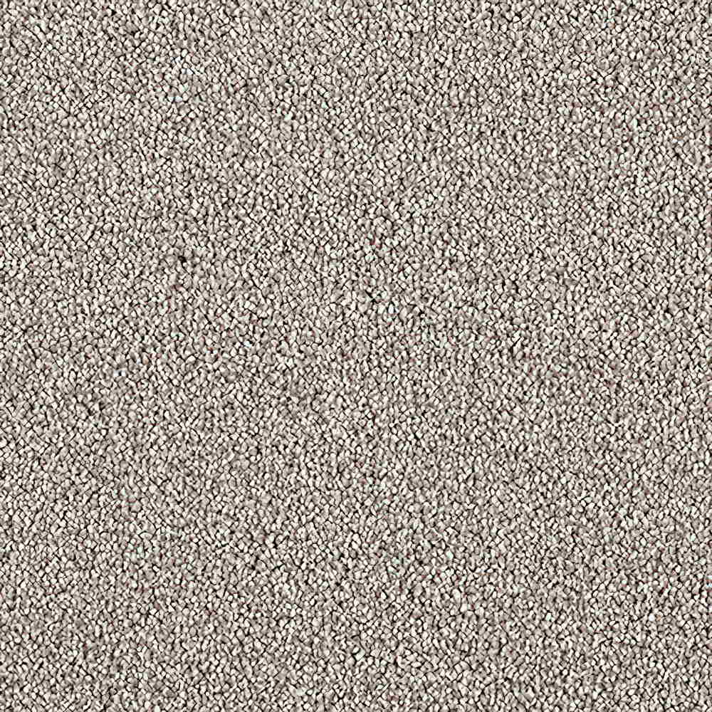 CFS Scala Twist Carpet | TradeChoice Carpet & Flooring